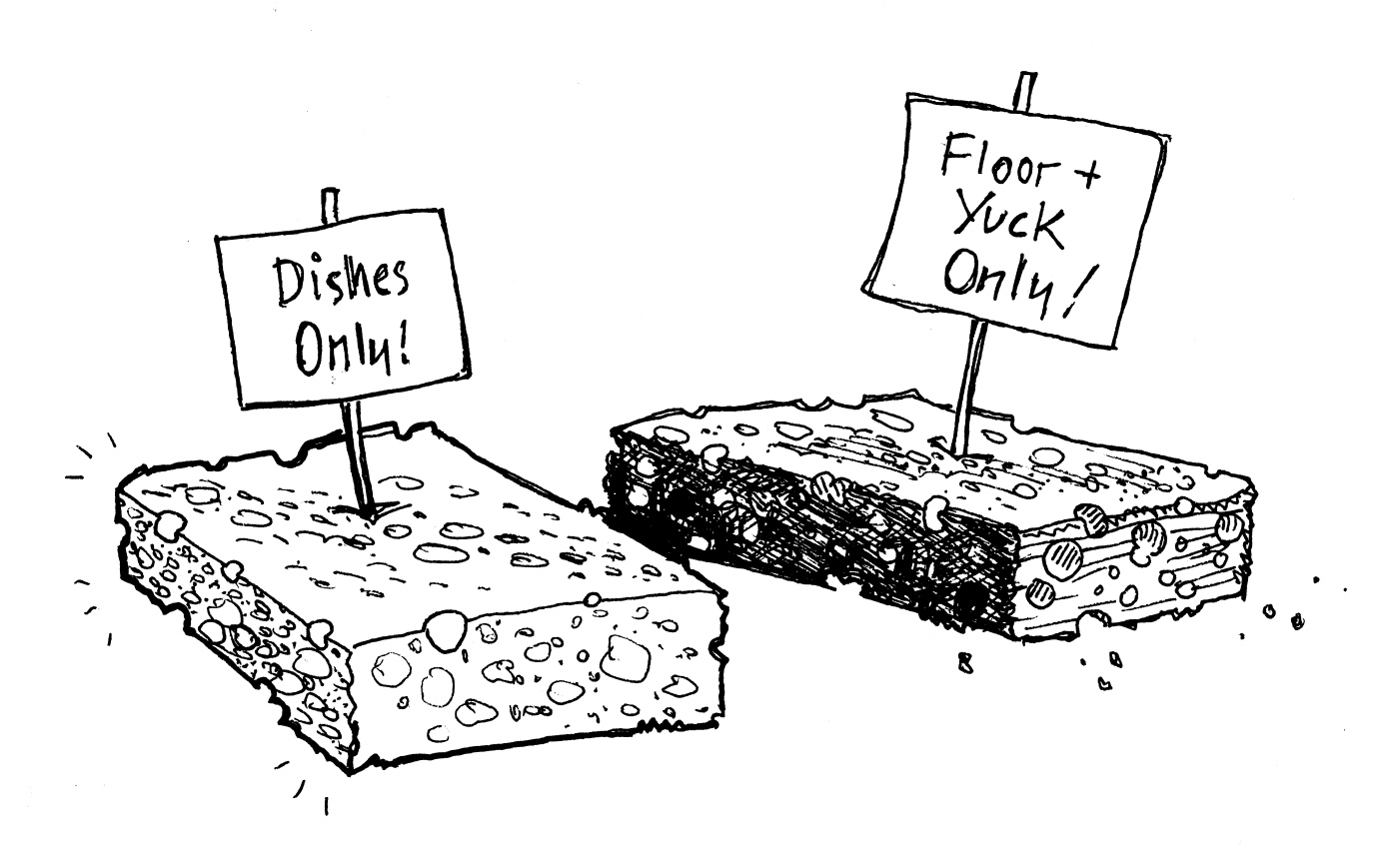 Photo of a real soft sponge